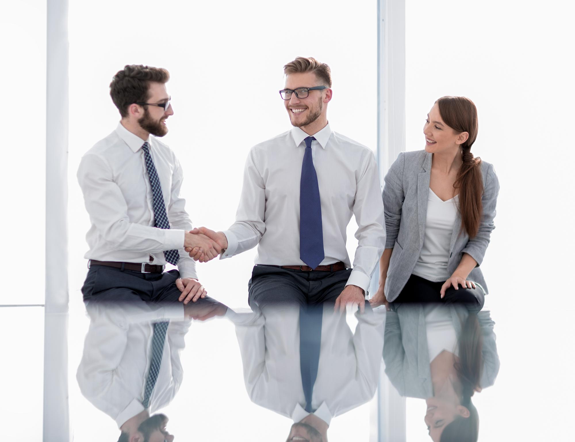 consultation handshake in modern office